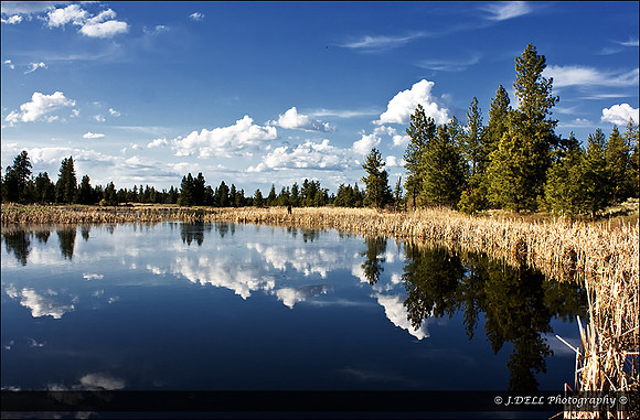 WASH_Turnbull_NWR_Follow_the_Low_Res