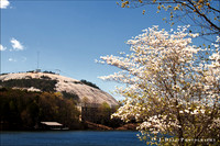 GA_Stone_Mountain_Apr_2nd_0363_Low_Res