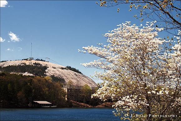 GA_Stone_Mountain_Apr_2nd_0363_Low_Res