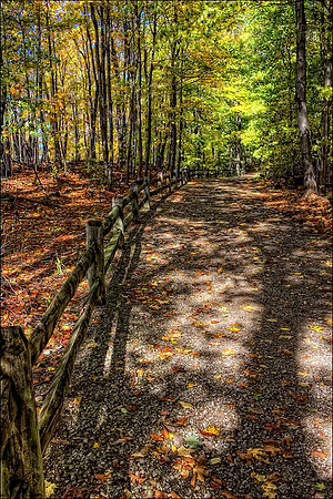 LMP_Chapin_Forest_10-22-2011_0196_7_8_tonemapped_Low_Res