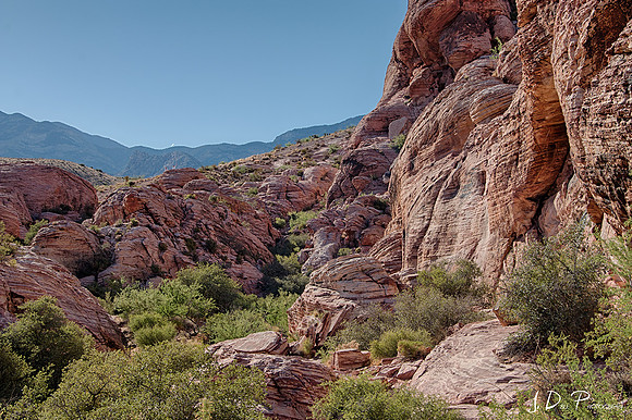 Red_Rock_Canyon_0151_HDR_Low_Res
