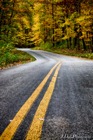 Fall_Colors_Chapin_Forest_2017_0079_HDR_Low_Res
