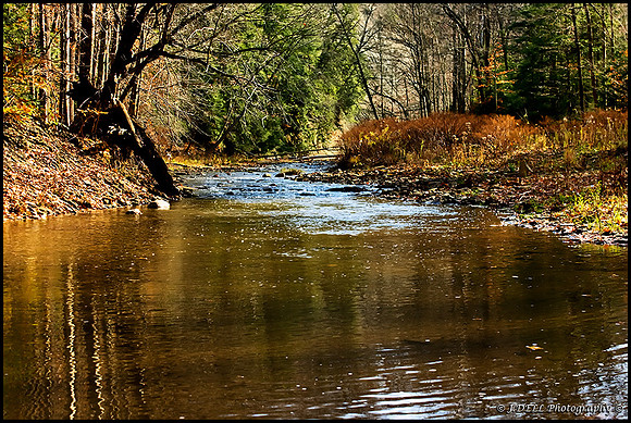 LAKEMP_Hell_Hollow_Paine_Creek_Cliff_Low_Res