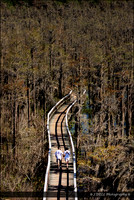 GA_Valdosta_Grand_Bay_WMA_2_Low_Res