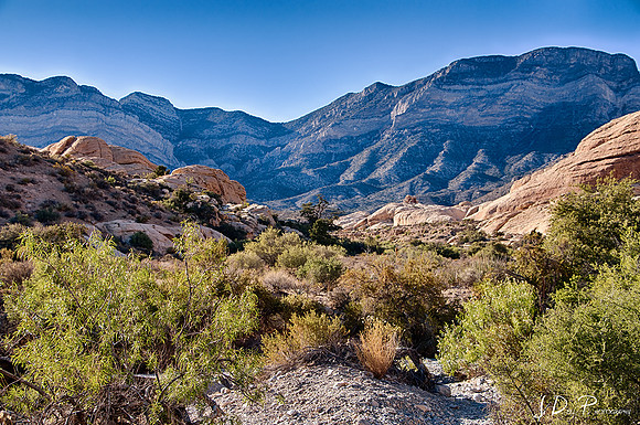 Red_Rock_Canyon_0194_HDR_Low_Res