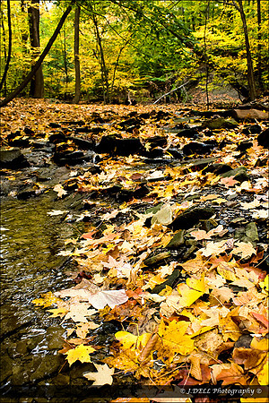 LAKEMP_Pen_Glenn_Autumn_Colors_2010_01_Low_Res