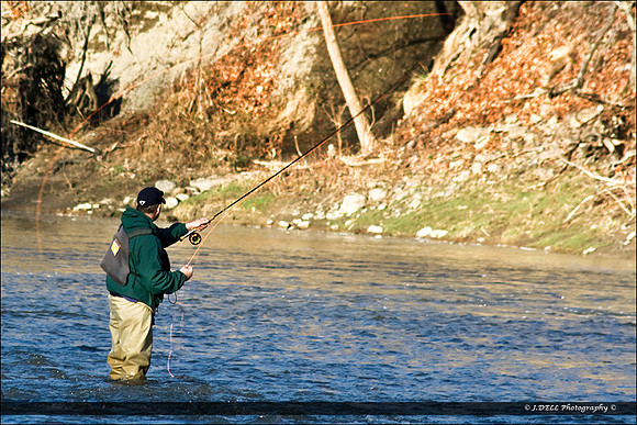 LAKEMP_Beaty_Landing_Cast_and_Low_Res