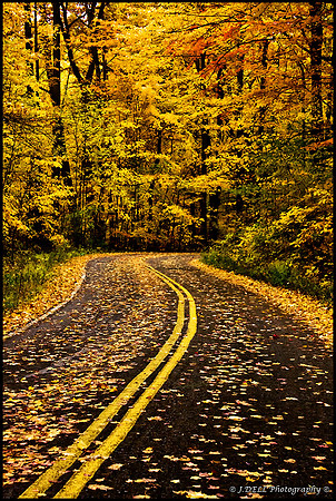 LAKEMP_Chapin_Forest_Natures_Shed_Low_Res
