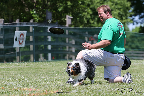 LMPWorking_Dog_Weekend_2014__0641_Low_Res