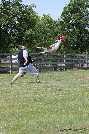 Working_Dog_Weekend_2016_0377_Low_Res