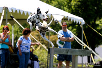 LMPWorking_Dog_Weekend_2014__0723_Low_Res