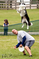 Working_Dog_Weekend_2013_0558_Low_Res