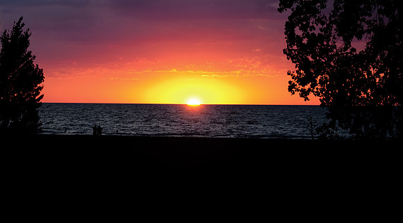 J.Dell Photography