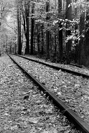 J.Dell Photography