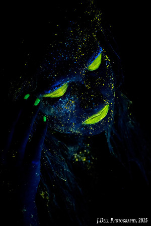 Stardust