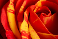 Macro