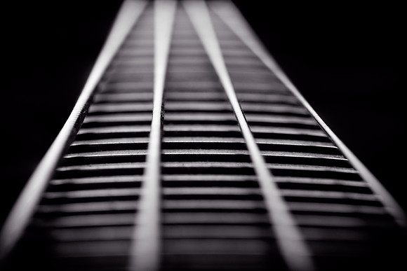macro_bass_09-10-2018_0020_high_res