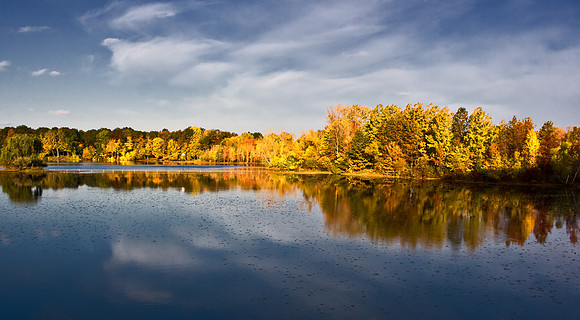 J.Dell Photography