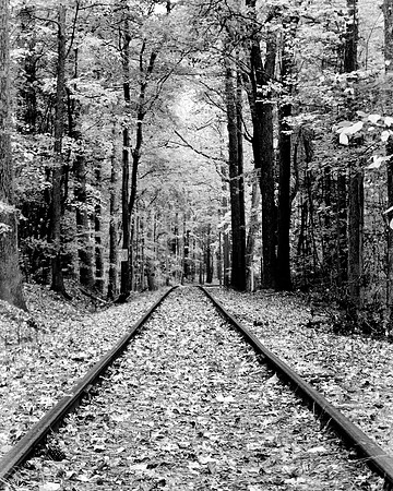 J.Dell Photography