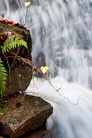 J.Dell Photography