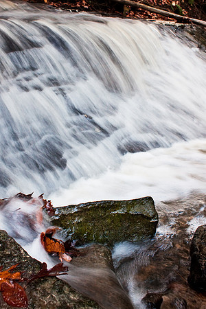 J.Dell Photography