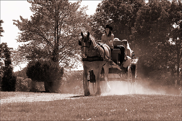 LMP_Farmpark_Wedding_0056_Low_Res