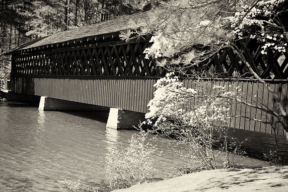 J.Dell Photography
