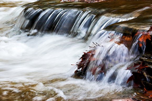 J.Dell Photography