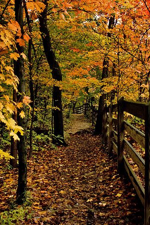 J.Dell Photography